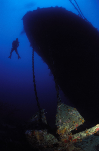 Grenada Diving - Island Activities